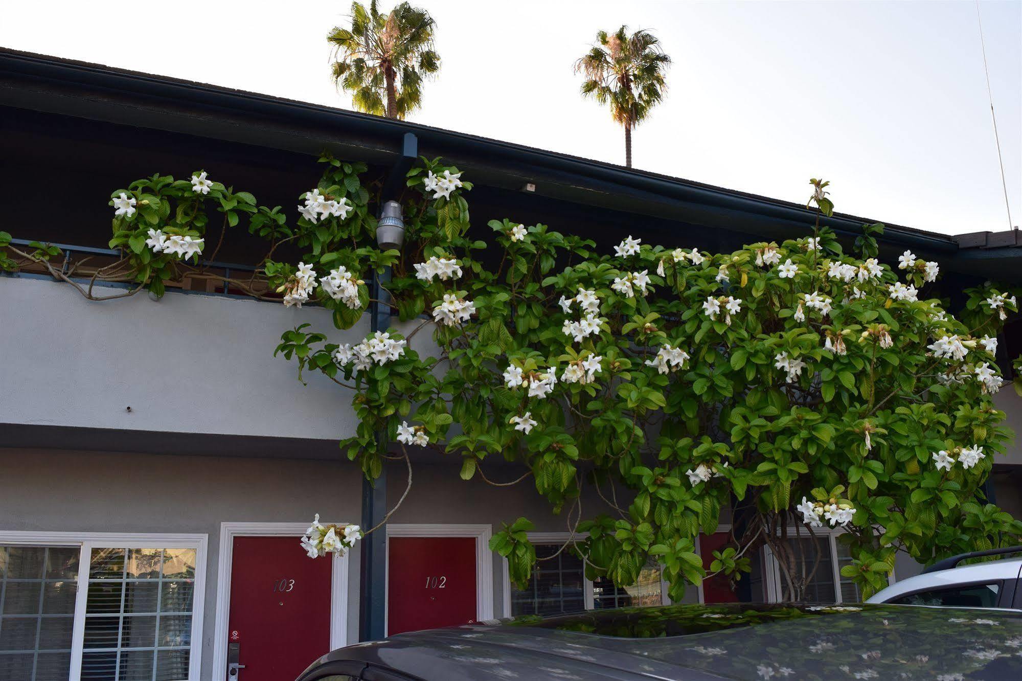 Rose Garden Inn Santa Barbara Exterior foto