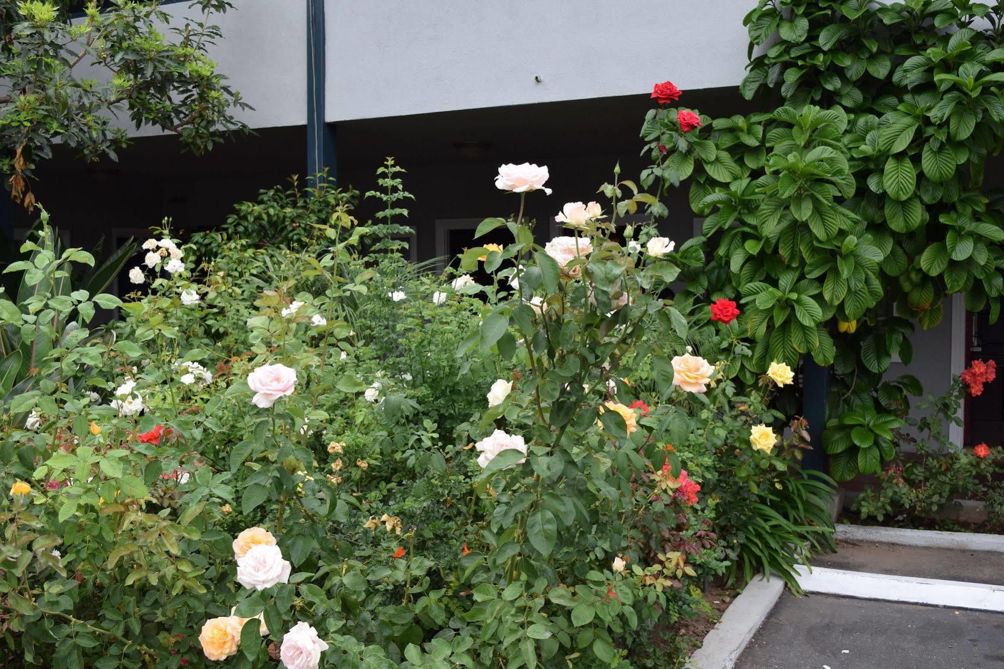 Rose Garden Inn Santa Barbara Exterior foto